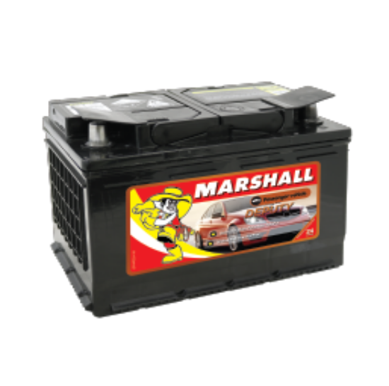 Marshall Deputy EN66MF