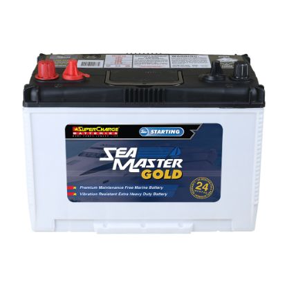 Picture of Sea Master Gold Marine MFM70